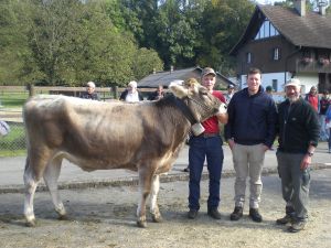 Rinderchampion Showdown Dea Diona Zrotz Josef und Beat Hergiswil
